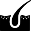 Insert Image Here