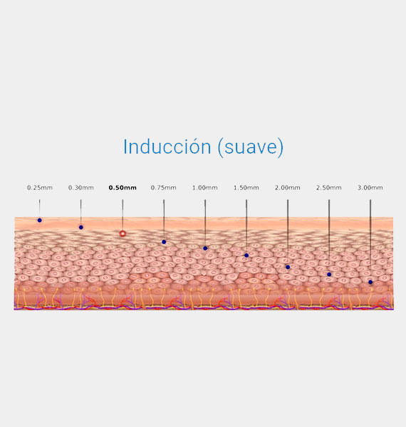 DermaRoller - Imagen 4